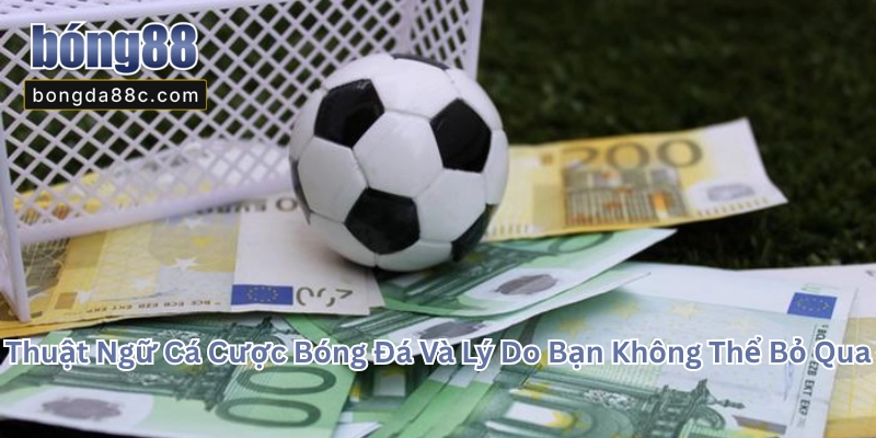 Thuật Ngữ Cá Cược Bóng Đá Và Lý Do Bạn Không Thể Bỏ Qua